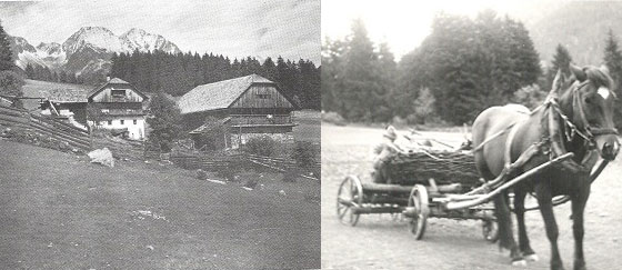 Urlaub auf dem Bauernhof - Der alte Bauernhof