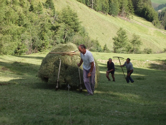 Urlaub auf dem Bauernhof - Heuernte