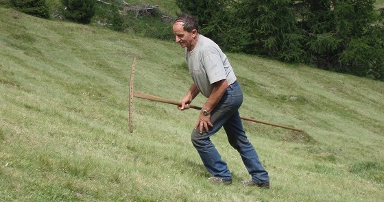 Urlaub auf dem Bauernhof - Rechen auf der Alm