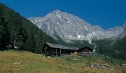 Urlaub auf dem Bauernhof - Magerstein in Antholz